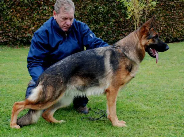 V Xanni vom Schaumbergerland