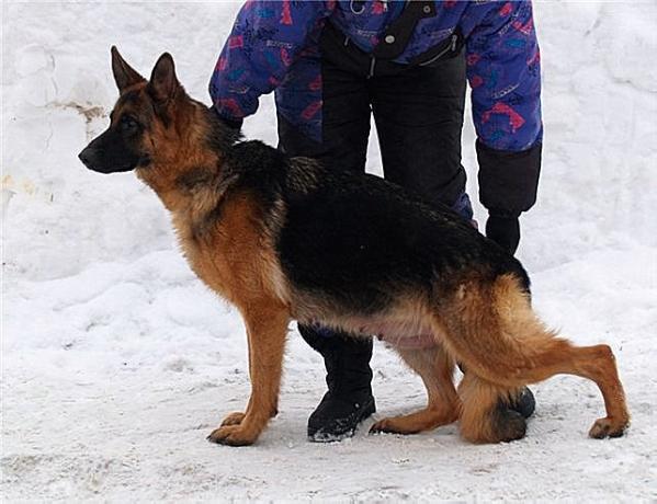 Zilber Wasserfall Zaika