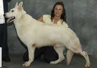 WGSDCA GV, 3X SEL CH Tumbledowns Artic Pharaoh