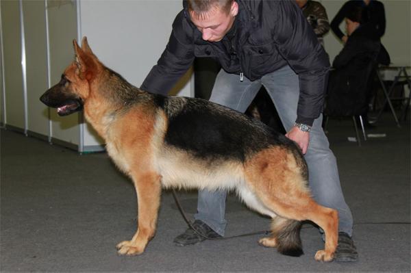 SG1 Odri fon Birken Forstadt