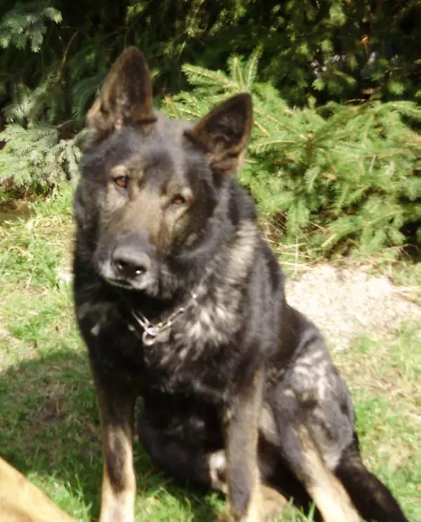 FRAM z Dvorakova sadu