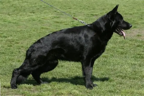 V Lee z Jančího dvora