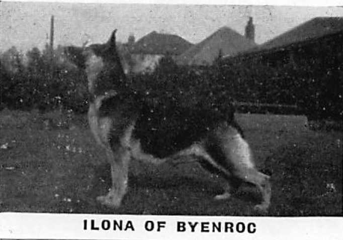 Ilona of Byenroc