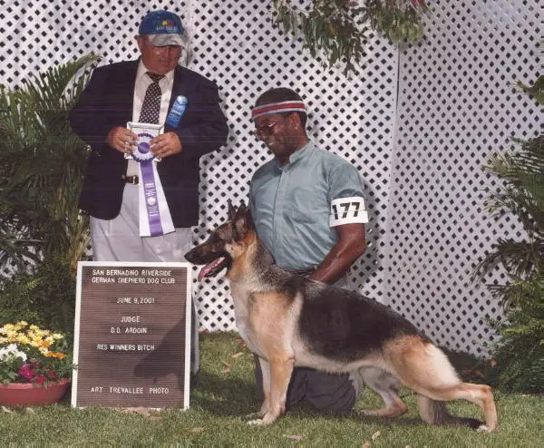 Dream Come True-Rivendell Fantasia