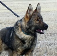 Norbi z Eurosportu ( Axel)