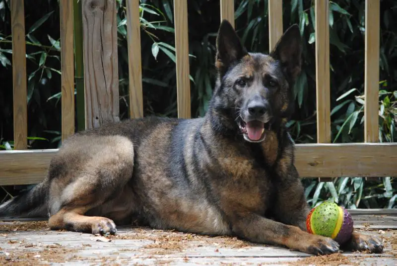 Zascha ze Stribrneho kamene