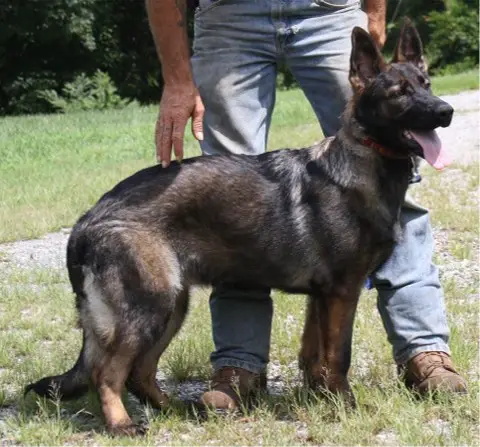 Hope Vom Mystical Haus