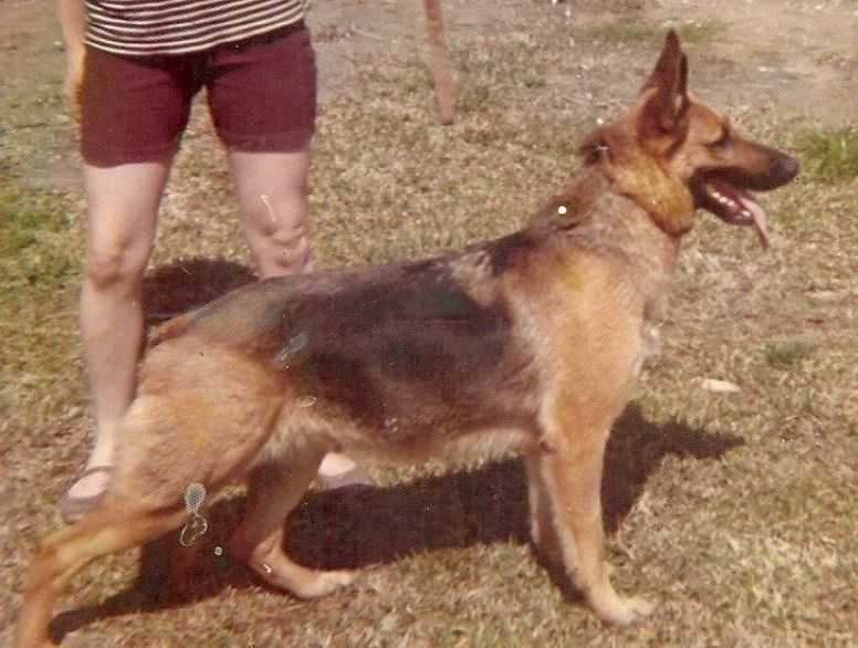 Daiquiri Doot Deasley