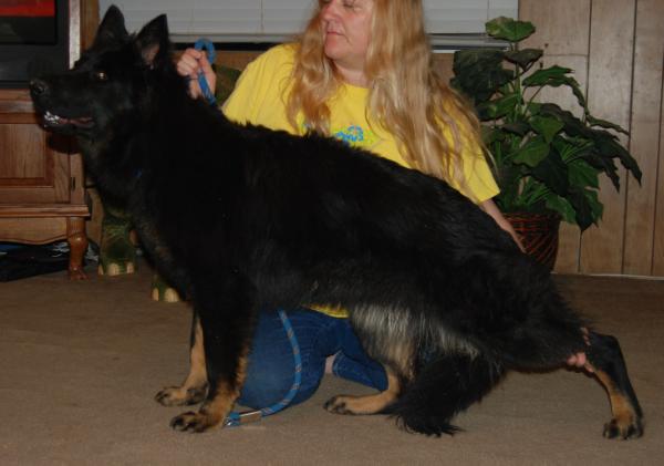 Pepper Von Jagermeister Haus Und Bendedict