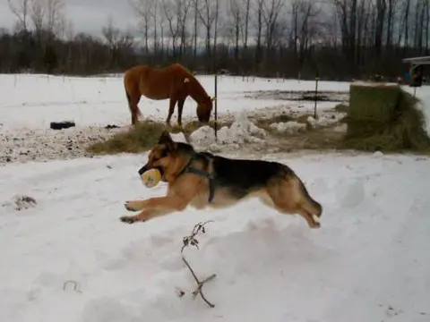 Ukr Tides Of Caribbean