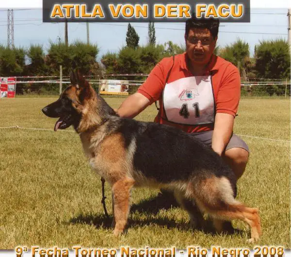 Atila Von Der Facu