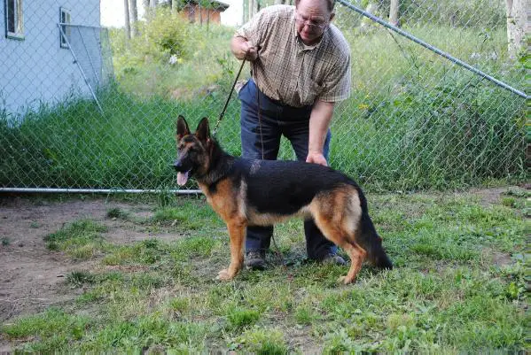 Rodak's Nixie von Sparr