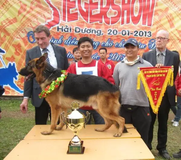 VA (VN),SG Jupp vom Merkur-Stern