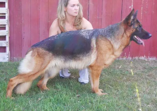 Samantha von Schwartz