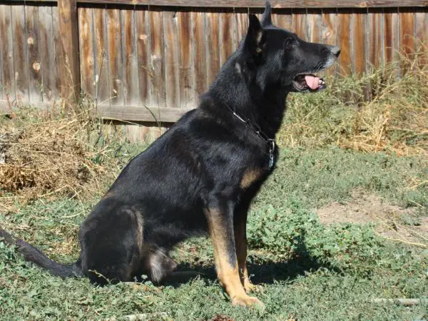 Bruno V Tal Der Festungen