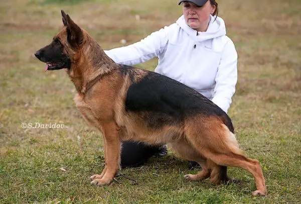 Zilber Wasserfall Yung-Frau