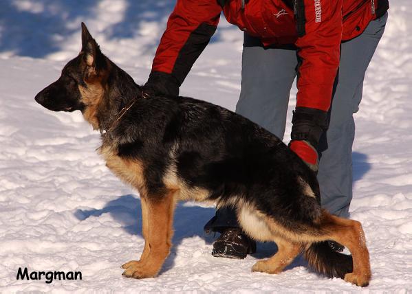 VV2 Yara von Nord Traum