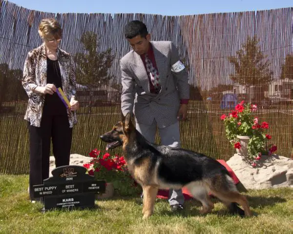 Verena von der Eschelbronner Schloßwiese