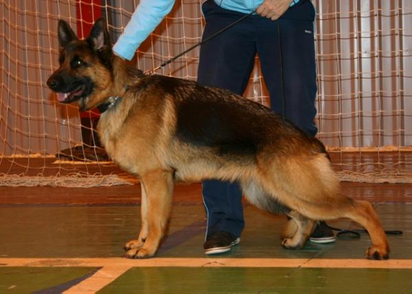 Makbet v. Nord Traum