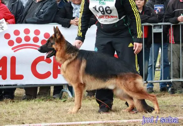 farouk roccapina