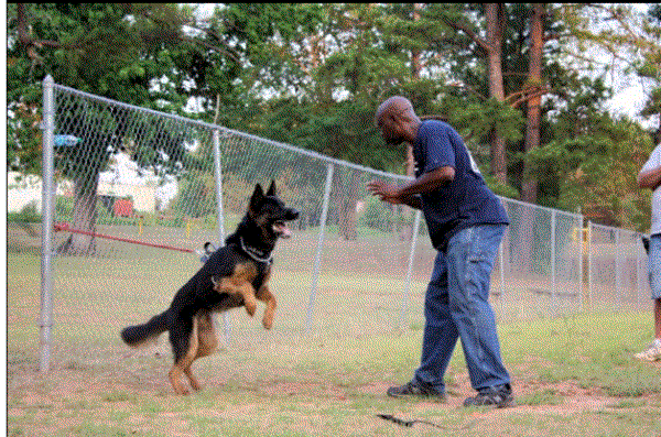 Sultie Knight Wimmer