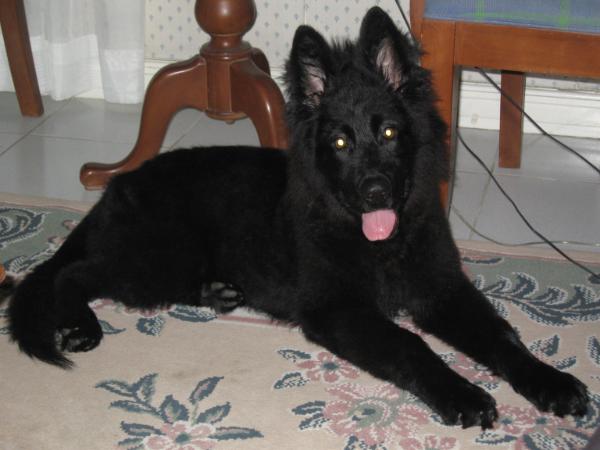 olivia vom mystical haus