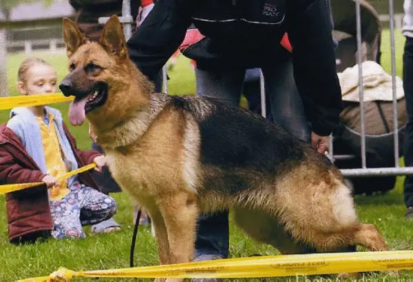 Vera des jardins de Mesoz