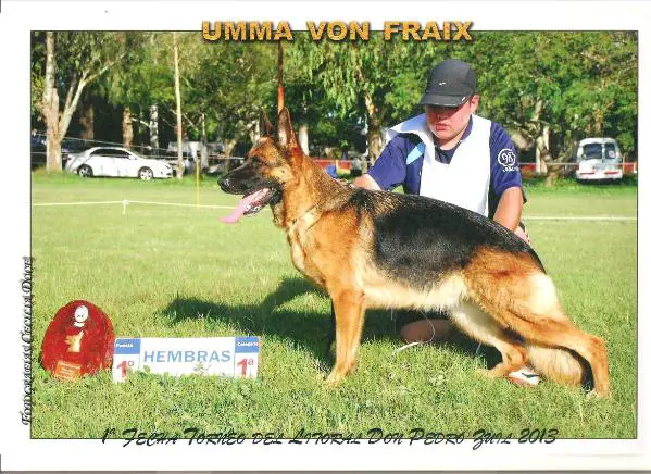 umma von fraix