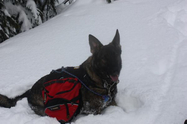 Hyah Kiddeaux Von Ryder