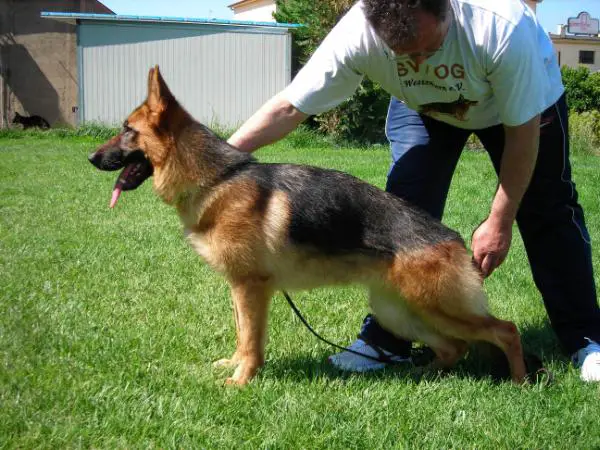 Verna del Monte Saraceno