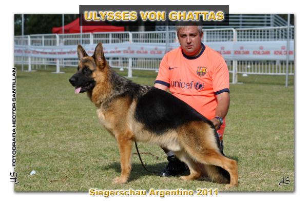 Ulysses von Ghattas