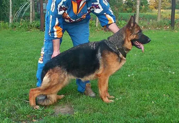 SG1 Xana in Regnum Marianum
