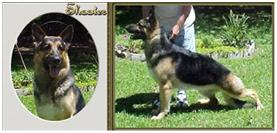 Hi-Lo's Southern Comfort