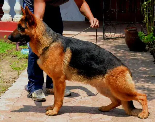 Aron von der Jahnhöhe