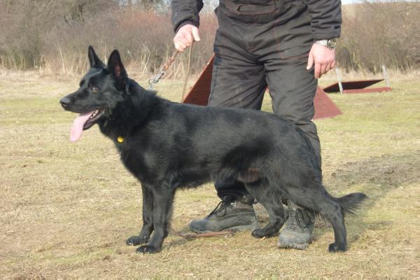 SG Mates z Berounske basty