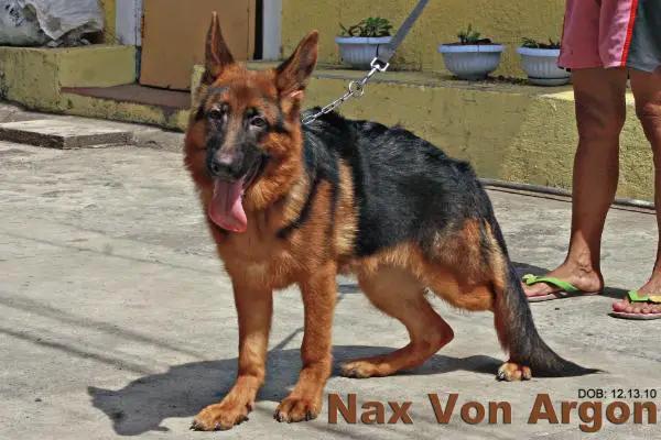 Nax von Argon