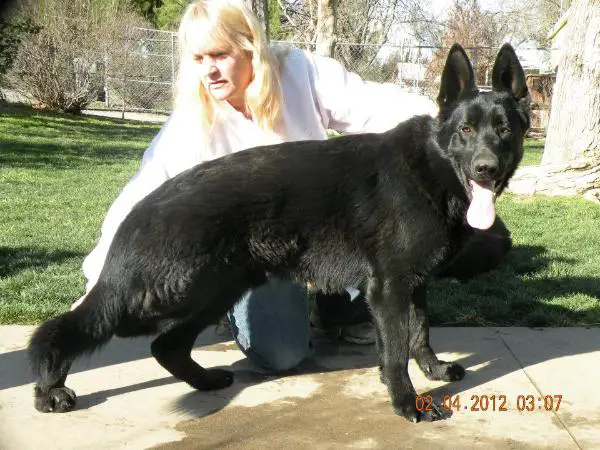 Mein Thor von Benedict