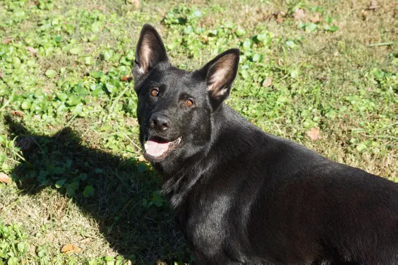 Irma von MountainLake