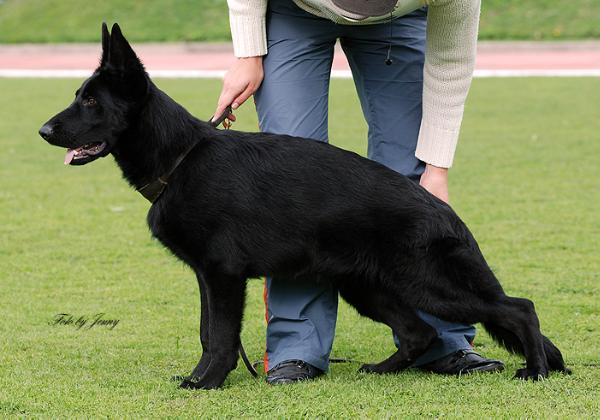 CAC, R.CAC Fest Kiefer Gabana