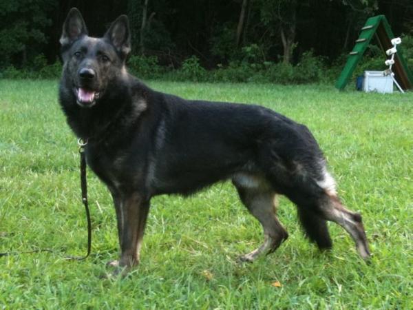 Benny vom Floyd Haus