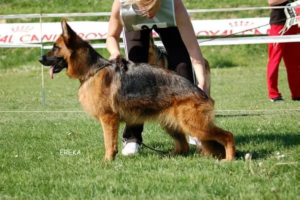 SG Luise Lotte van Contra