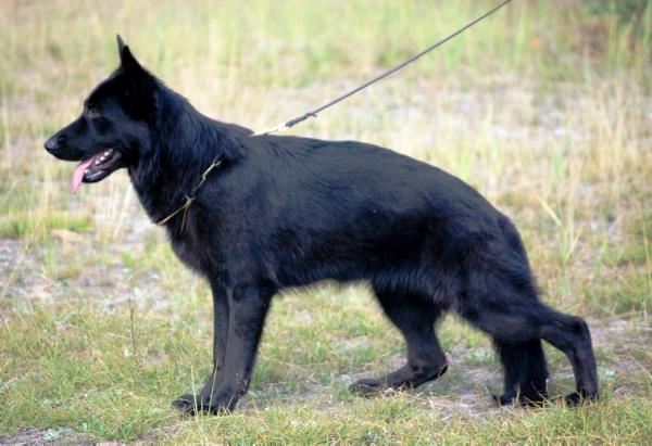 Zilber Wasserfall Yulary