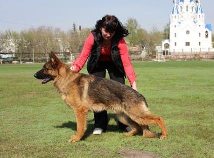 CH (RUS, KZ) Armour from Lannasland