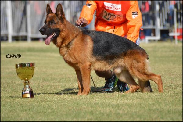 VA 8 (ARG) Matu de Ailin Neyen