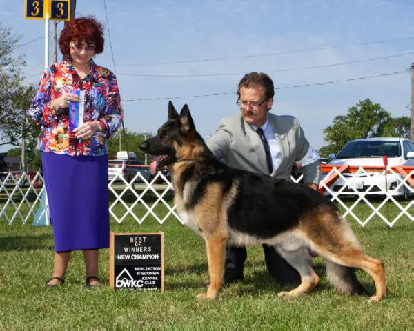 BIS PAM CH Kaleef's Divine V Kenlyn