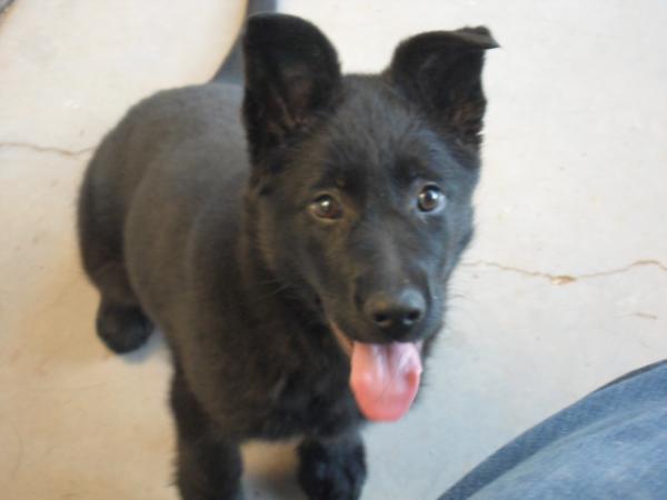 Tixi z Berounske basty