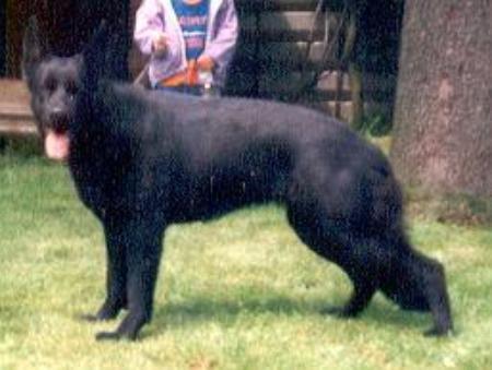 Antje von der Dahlener Heide