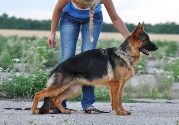 Felicity (Felissiti) z Azovskogo Berega