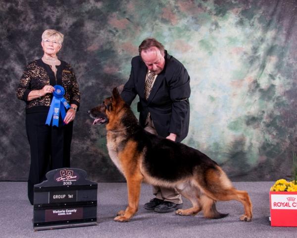 GCH Hellwigg's Freedom Flyer