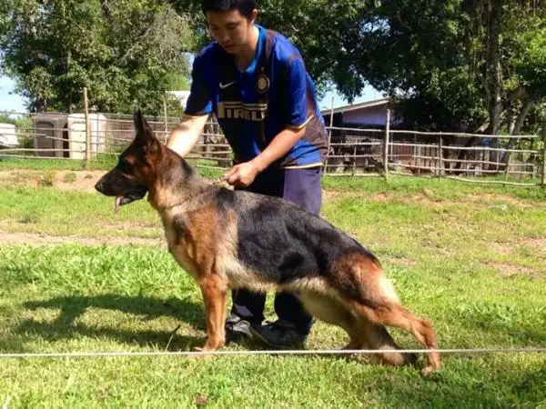 Urma vom Branch Mark